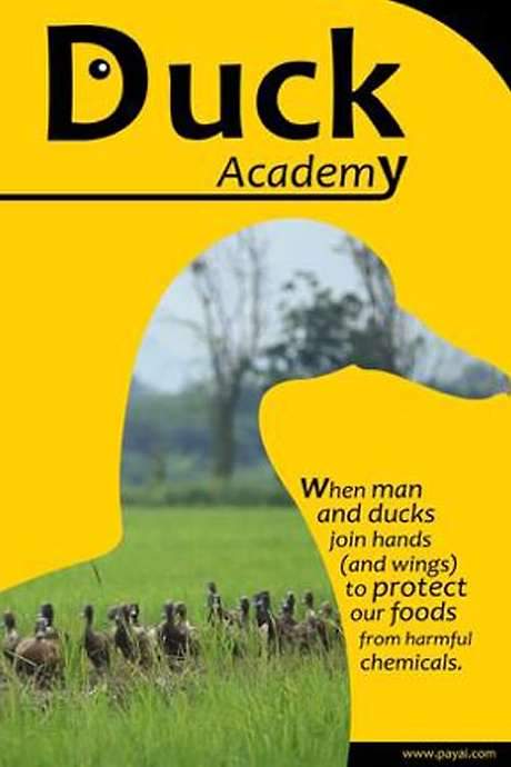 Duck Academy
